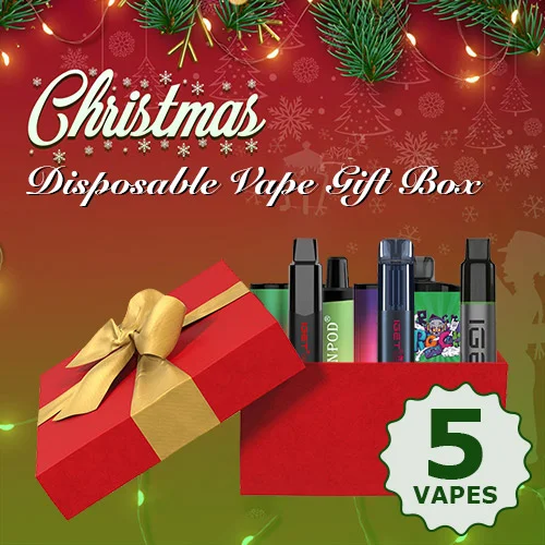 5x disposable vape christmas gift box