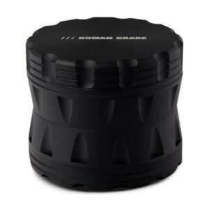 import placeholder for 11202